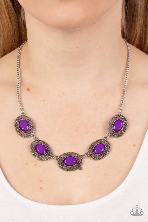 Paparazzi Necklace ~ Sunshiny Shimmer - Purple