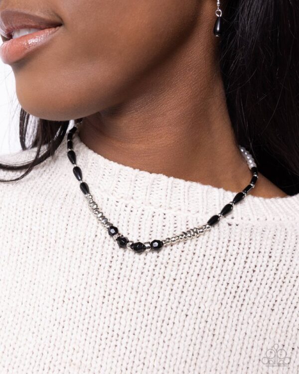 Paparazzi Necklace ~ Dainty Diversity - Black